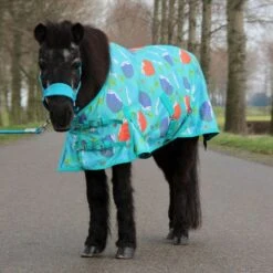 HB Ruitersport Outdoordecke Harry And Hector Hedgehog Türkis 85