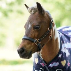 HB Harry And Hector Outdoordecke Unicorn Dream -TRUS Pferd Geschaft hb 1429 2.7dccb2 2