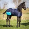 Harry's Horse Fohlendecke TwoTone Navy 65