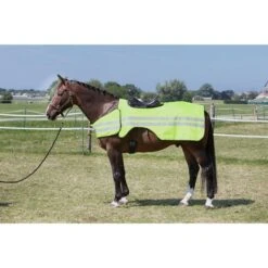 Harry's Horse Ausreitdecke Reflektierend -TRUS Pferd Geschaft hh 32207000 1.7777d9
