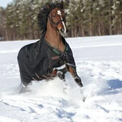 Rambo Original Turnout Med L/A 200g Schwarz/Grün/Rot -TRUS Pferd Geschaft horseware aaaa07 kgr0 3 8688x5792.5a891f