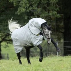 Rambo Duo Bundle Grau/Petrol/Gold/Navy