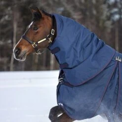 Rambo Halsstück Optimo 150g Navy/Burgund/Teal -TRUS Pferd Geschaft horseware aaafnb bqgb 1200x1500.5d4736