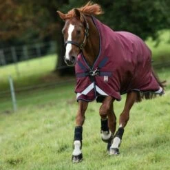 Rambo Wug Turnout Med 200g Burgund/Petrol/Marine