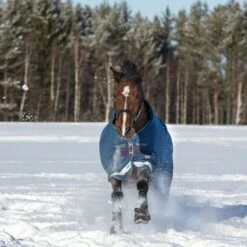 Rhino Original Turnout Med VL Navy/Grau/Aqua -TRUS Pferd Geschaft horseware aabv83 bjaj 3 7891x526115aa72.da9d87