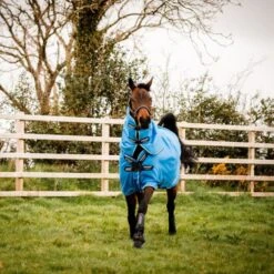 Amigo Hero 900 Plus Turnout Med 200g Daphne Blau/Schwarz/Weiß -TRUS Pferd Geschaft horseware aampt4 cdkw 13 6316x4200.5f32bd