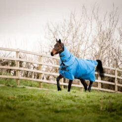 Amigo Hero 900 Plus Turnout Med 200g Daphne Blau/Schwarz/Weiß -TRUS Pferd Geschaft horseware aampt4 cdkw 2 7738x5159.3f0078