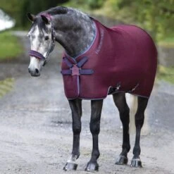 Rambo Airmax Cooler Disc Front Schwarz/Tan/Orange -TRUS Pferd Geschaft horseware acat74 qqgb 4590x6526.f0f806