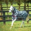 Amigo Pony Plus Medium 200g Horse Print/Purple/Pink