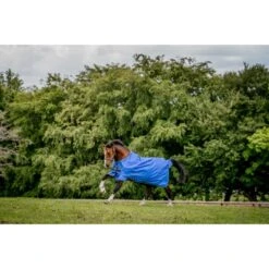 Amigo Hero Ripstop Lite 0g Fig/Navy/Tan -TRUS Pferd Geschaft hw aapa90 cbjb amigo hero ripstop lite 0g 6.e03837