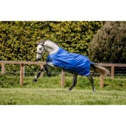 Amigo Hero Ripstop 50g Fig/Silver -TRUS Pferd Geschaft hw aapa91 cbjb amigo hero ripstop lite 50g 6.0ac063