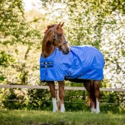 Amigo Hero Ripstop 50g Fig/Silver -TRUS Pferd Geschaft hw aapa91 cbjb amigo hero ripstop lite 50g 9.2d4f73