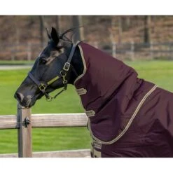 Amigo Hero Ripstop Hood 0g Fig/Navy/Tan