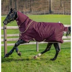 Amigo Hero Ripstop Plus Lite 0g Navy/Burgund/Weiß 115/168 -TRUS Pferd Geschaft hw aapp92 44634818 gfbm 600x620.d6e68b 1