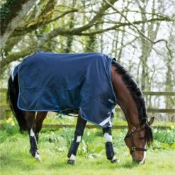 Amigo Bravo 12 Original Lite 0g Navy -TRUS Pferd Geschaft hw aara41 bbw0 3.8b8185