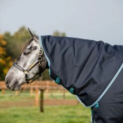 Amigo By Horseware Bravo 12 Plus Turnout Medium 250g Navy/Aqua -TRUS Pferd Geschaft hw aarp72 bde0 amigo bravo 12 plus turnout medium 250g 6.8e5b63