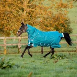 Amigo By Horseware Bravo 12 Plus Turnout Heavy 400g Storm Green