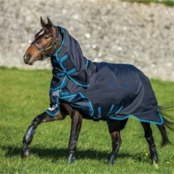Amigo By Horseware Bravo 12 Plus Turnout Bundle Navy/Türkis -TRUS Pferd Geschaft hw aarp8b bdeb rgb 2.43b0c6