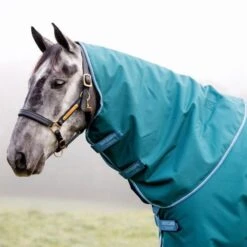 Amigo By Horseware Bravo 12 Plus Turnout Disc Front 100g Storm Green 115/168 -TRUS Pferd Geschaft hw aarpt3 gedc amigo bravo 12 plus turnout disc 100g 4.4c4785