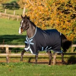 Amigo By Horseware Bravo 12 Turnout Disc Front 100g Navy/Türkis