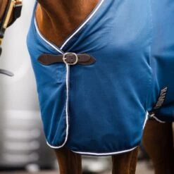 Rambo Travel Series Burgunderrot -TRUS Pferd Geschaft hw acagkx bbi0 7.885f3c