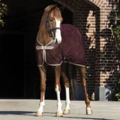 Amigo Netz Cooler Mit Kreuzgurten Fig/Navy/Tan