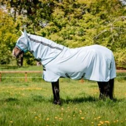 Amigo Bug Rug Azure Blue/Scharz