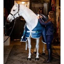 Horseware Eco Liner 400g Teal Eco Print -TRUS Pferd Geschaft hw ahhek1 c5tj horseware ameco liner 100g 7.f64a1d