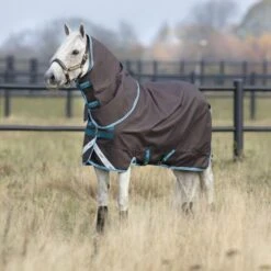 Amigo By Horseware Bravo 12 Pony Plus Lite Excalibur