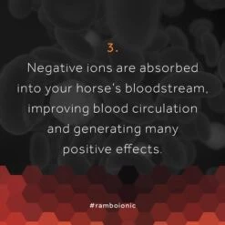 Rambo Ionic Stable Sheet Schwarz/Schwarz & Orange Gestreift -TRUS Pferd Geschaft hw ionic 1080x1080 5.c78553