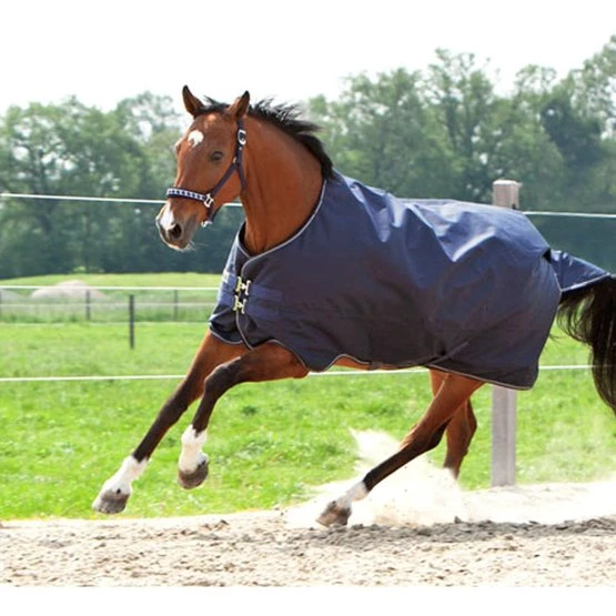 Kavalkade Outdoordecke Montreal 100g Grün 11 Kavalkade Outdoordecke Montreal 100g Grün – Bild 11