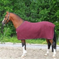 Kavalkade Abschwitzdecke Ecoline Fleece Anthrazit -TRUS Pferd Geschaft kav bordeaux image 1.70db28