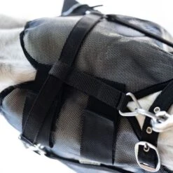 Kavalkade Fliegenmaske Beugel Schwarz -TRUS Pferd Geschaft kavalkade 36113 04.42946a