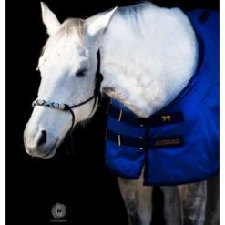 Accuhorsemat Blanket Original Mit Accupressure Mat Blau -TRUS Pferd Geschaft kavalkade 85001 10.d5cee0