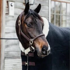 Kentucky Horsewear Kentucky Abschwitzdecke Show Fleece Heavy Schwarz -TRUS Pferd Geschaft ken 485a1159.12f007