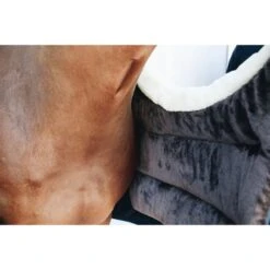 Kentucky Horsewear Kentucky Bib Winter Schwarz Warmblut -TRUS Pferd Geschaft ken 52114 3.8fcd36