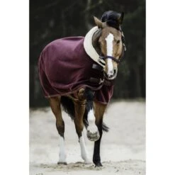 Kentucky Horsewear Kentucky Abschwitzdecke Show Fleece Heavy Bordeaux -TRUS Pferd Geschaft ken 52148 17 bordeaux3.c35f7f 1