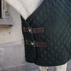 Kentucky Horsewear Kentucky Stalldecke 400g Green/Grey -TRUS Pferd Geschaft kentucky 14052020 485a2476 e8502ded370e565d04389cf2c54c4715 article photobook crop.862b46