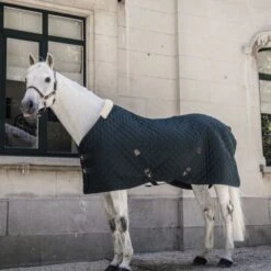 Kentucky Horsewear Kentucky Stalldecke 400g Navy -TRUS Pferd Geschaft kentucky 14052020 485a2505 e8502ded370e565d04389cf2c54c4715 article photobook crop.f4e10f 1