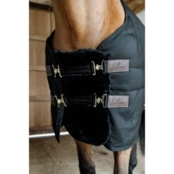 Kentucky Horsewear Kentucky Brustverlängerung Wol 2 Kupplungsverschlussen Schwarz