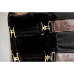 Kentucky Horsewear Kentucky Brustverlängerung Wol 2 Kupplungsverschlussen Schwarz -TRUS Pferd Geschaft kentucky 179a2643.52deca