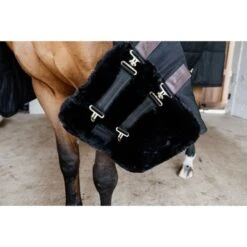 Kentucky Horsewear Kentucky Brustverlängerung Wol 2 Kupplungsverschlussen Schwarz -TRUS Pferd Geschaft kentucky 179a2647.5829bf