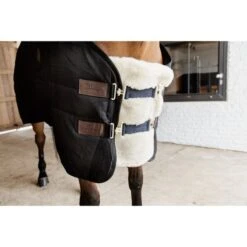 Kentucky Horsewear Kentucky Brustverlängerung Wol 2 Kupplungsverschlussen Schwarz -TRUS Pferd Geschaft kentucky 179a2653.731e32