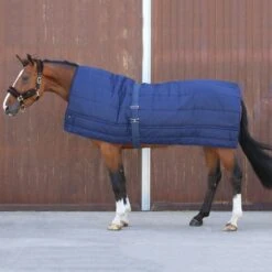 Kentucky Horsewear Kentucky Decke Horse Duvet 300g Schwarz 200x180 8 Kentucky Horsewear Kentucky Decke Horse Duvet 300g Schwarz 200x180 -TRUS Pferd Geschaft kentucky 42144.7da31a