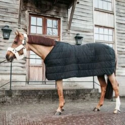 Kentucky Horsewear Kentucky Unterdecken Skin Friendly 150g Navy -TRUS Pferd Geschaft kentucky 485a0052.c514a2