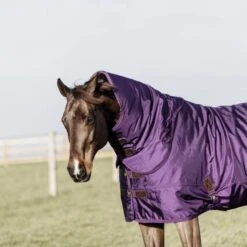 Kentucky Horsewear Kentucky Turnout All Weather 160g Violett -TRUS Pferd Geschaft kentucky 485a3024 e8502ded370e565d04389cf2c54c4715 article photobook crop.70ac82