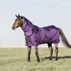 Kentucky Horsewear Kentucky Halsstück All Weather 150g Violett -TRUS Pferd Geschaft kentucky 485a3029 e8502ded370e565d04389cf2c54c4715 article photobook crop.b5eb43