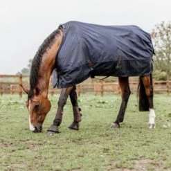 Kentucky Horsewear Kentucky Turnout Rug All Weather 300g Navy -TRUS Pferd Geschaft kentucky 485a4577.2c07c4