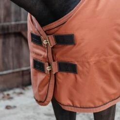 Kentucky Horsewear Kentucky Turnout All Weather 160g Dunkel Grün -TRUS Pferd Geschaft kentucky 485a6555.96a3f2 3