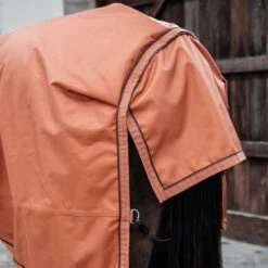 Kentucky Horsewear Kentucky Turnout All Weather 160g Autumn Orange -TRUS Pferd Geschaft kentucky 485a6568.575232